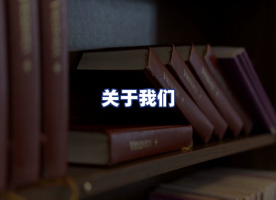 专业团队